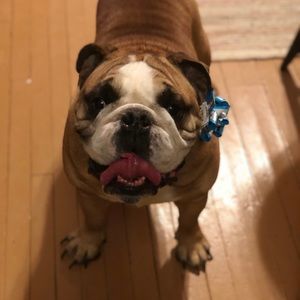 Meet your Posher, Michael